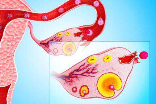同济试管代生全流程分享③,国内供卵试管代生在哪里做,专业代孕包男孩