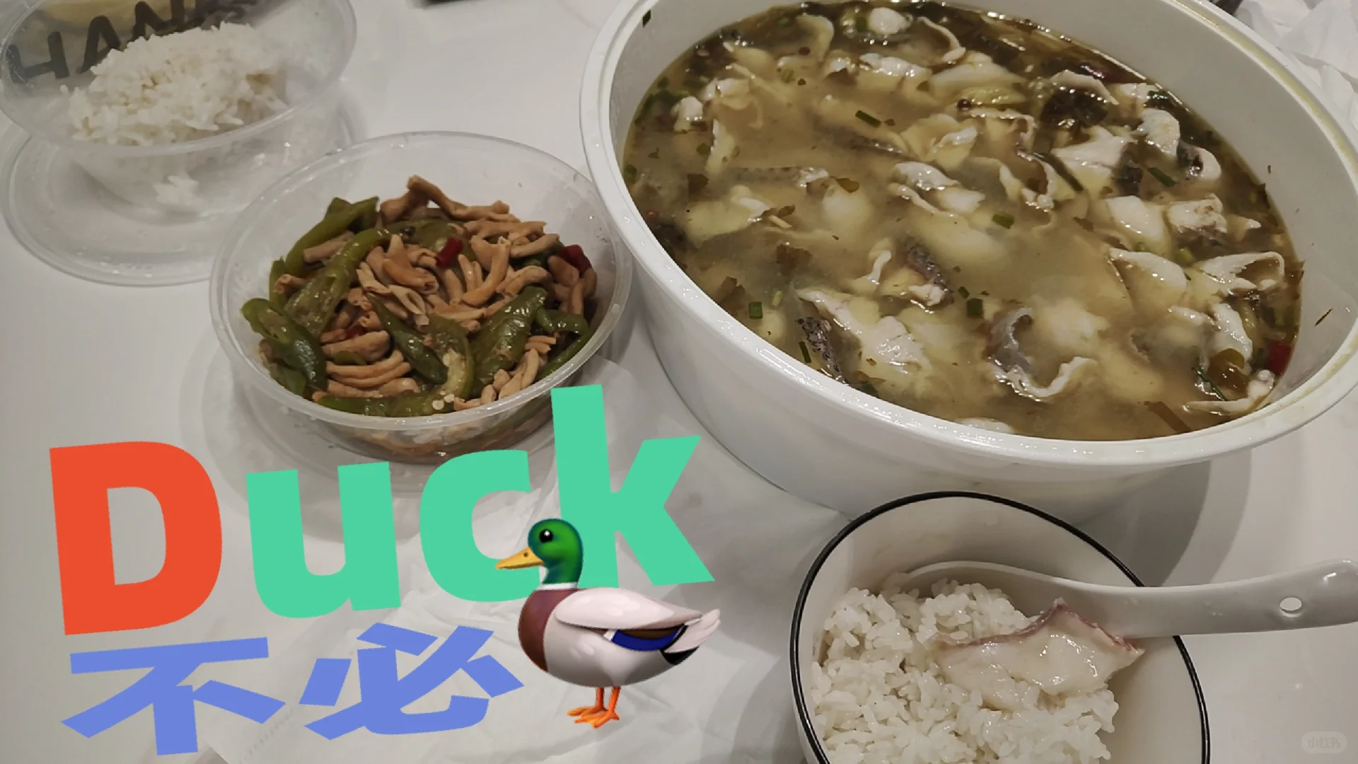 移植第23天，🤮