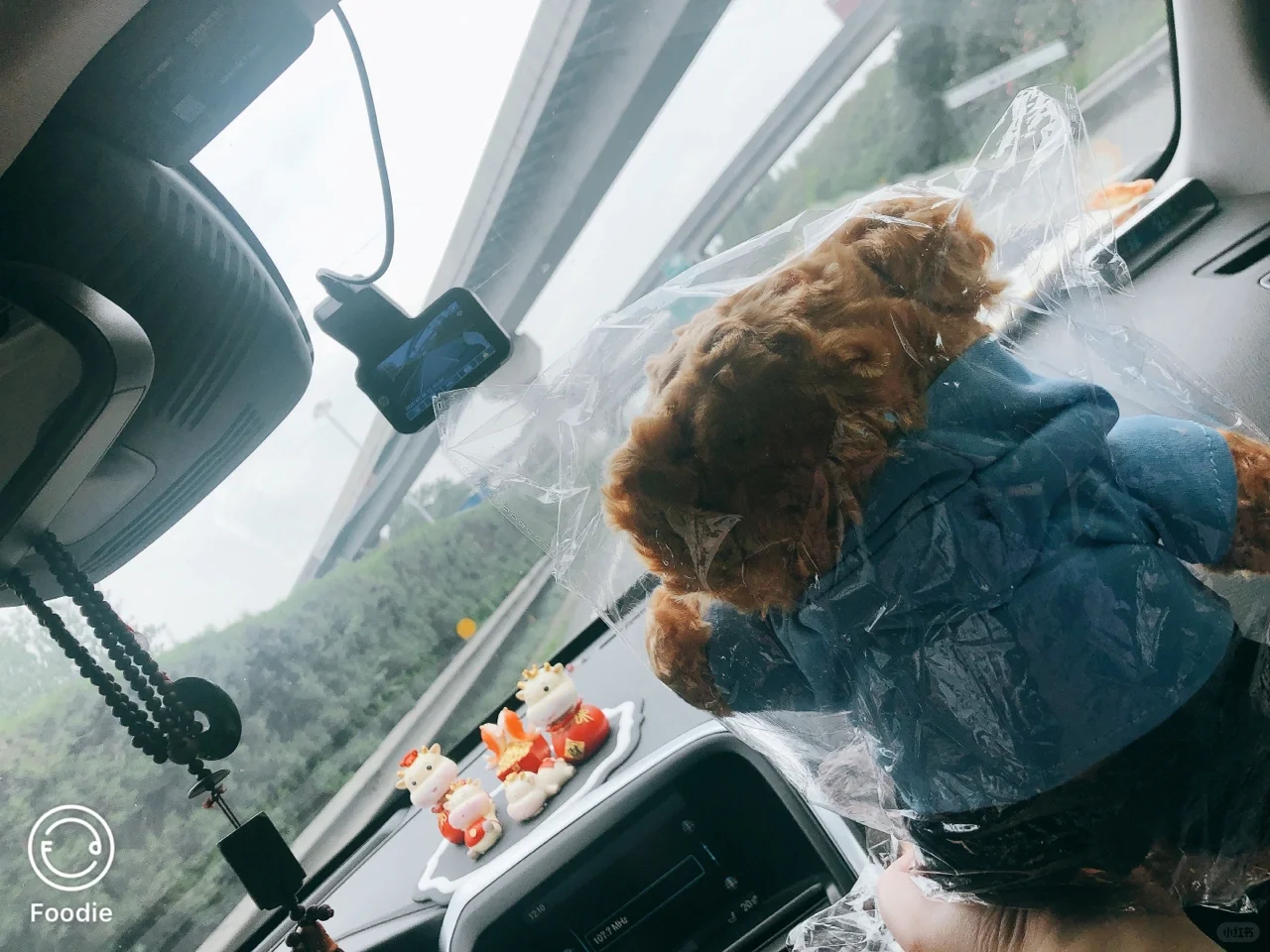 试管经历贴，4促5移（1）,aa69代孕网