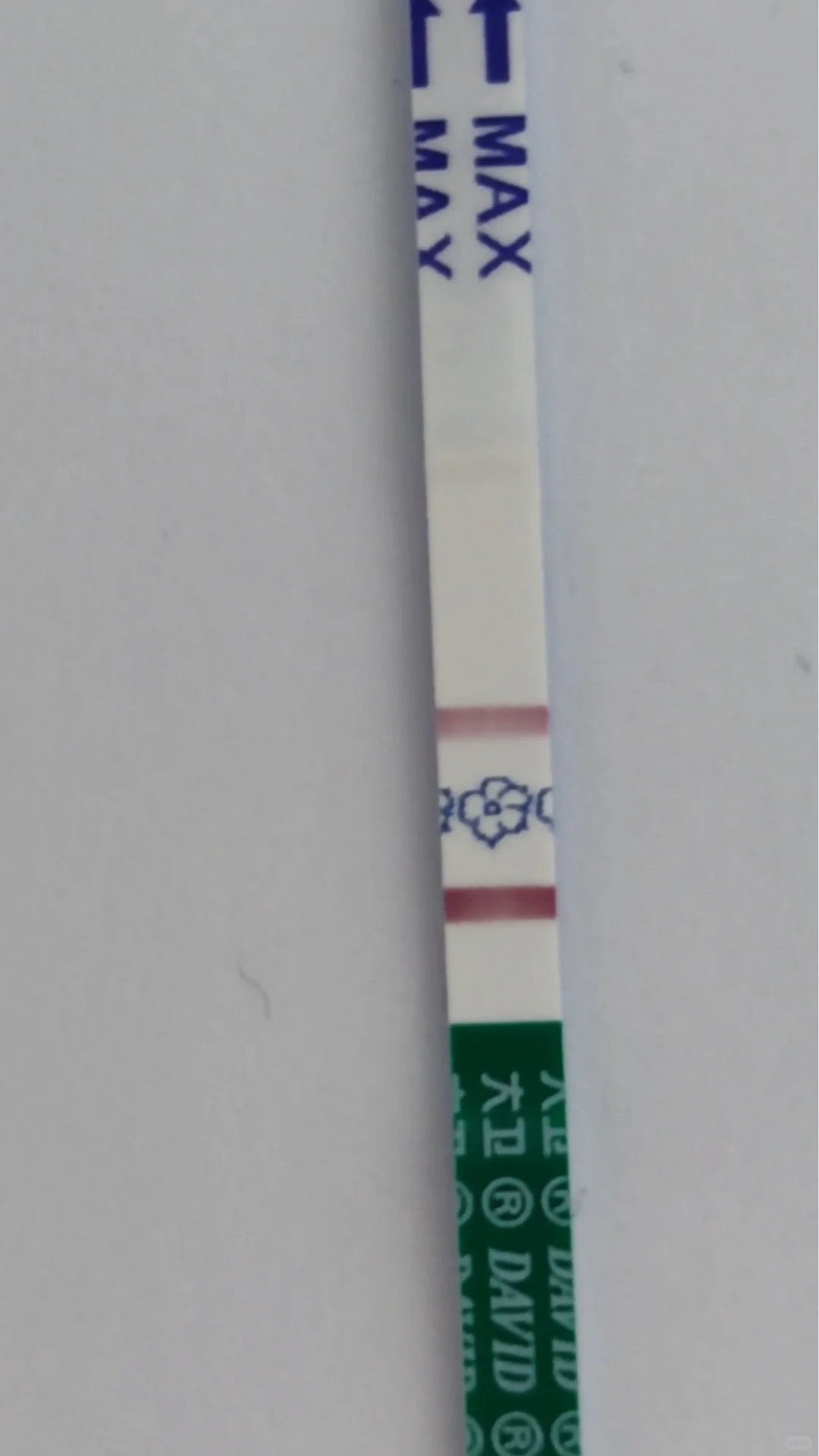 备孕卵泡长不大的姐妹来看