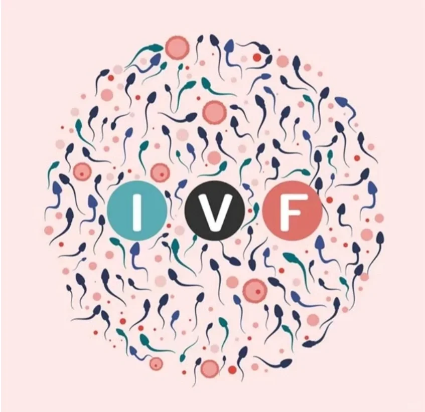 🇸🇬试管婴儿ivf part1-第一次看诊