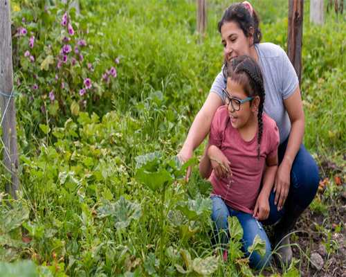助孕供卵代生:月经第十天只有一个优势卵泡